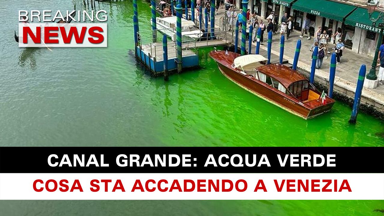 Canal Grande Acqua Verde Fosforescente Cosa Succede A Venezia