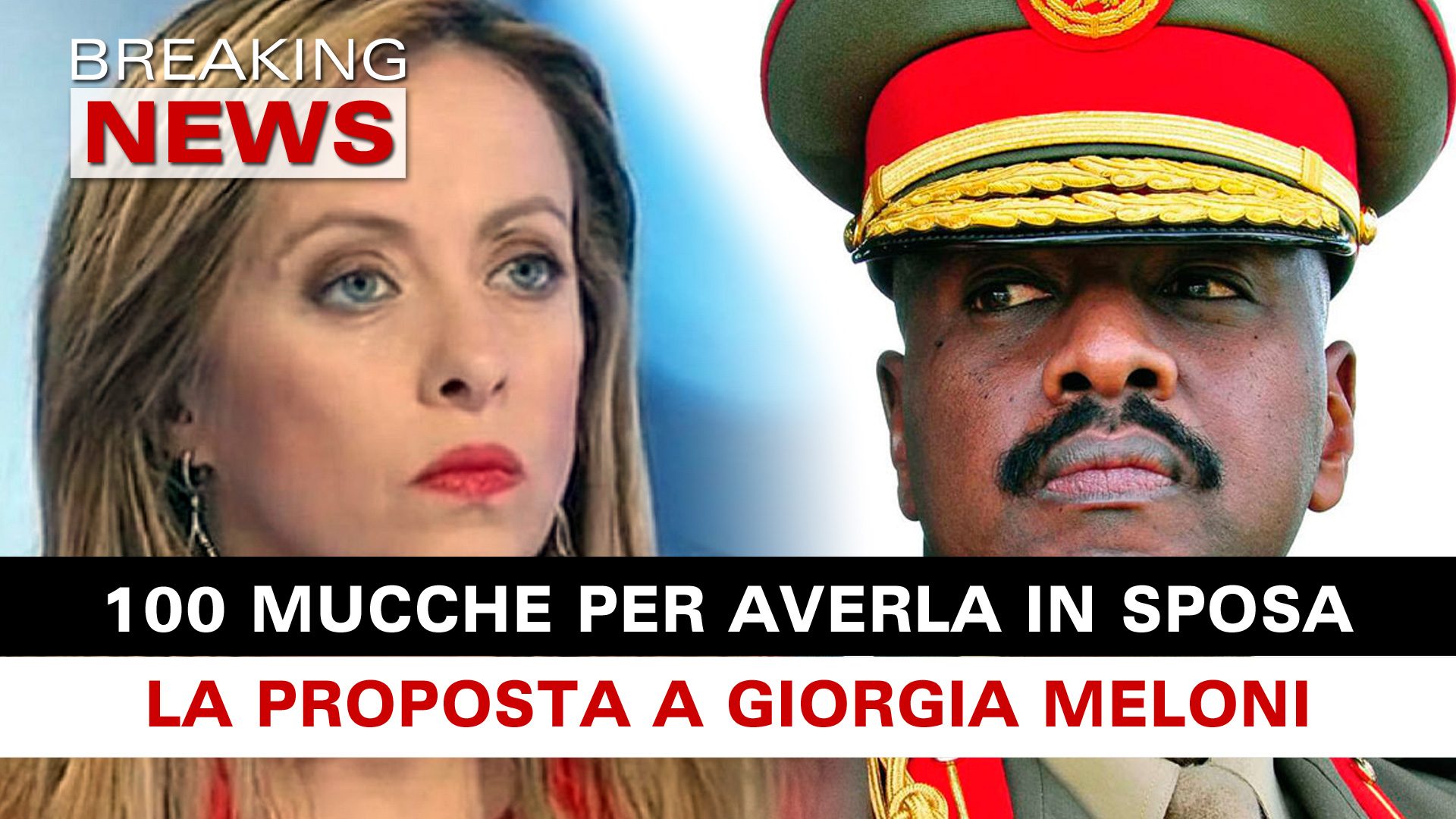 Proposta Di Nozze Per Giorgia Meloni: In Regalo 100 Mucche! - Breaking ...