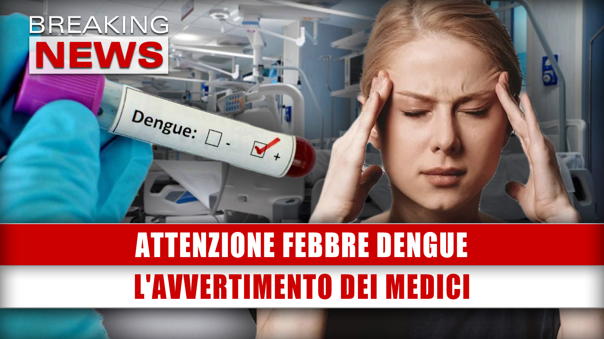 Attenzione Febbre Dengue: L'Avvertimento Dei Medici!