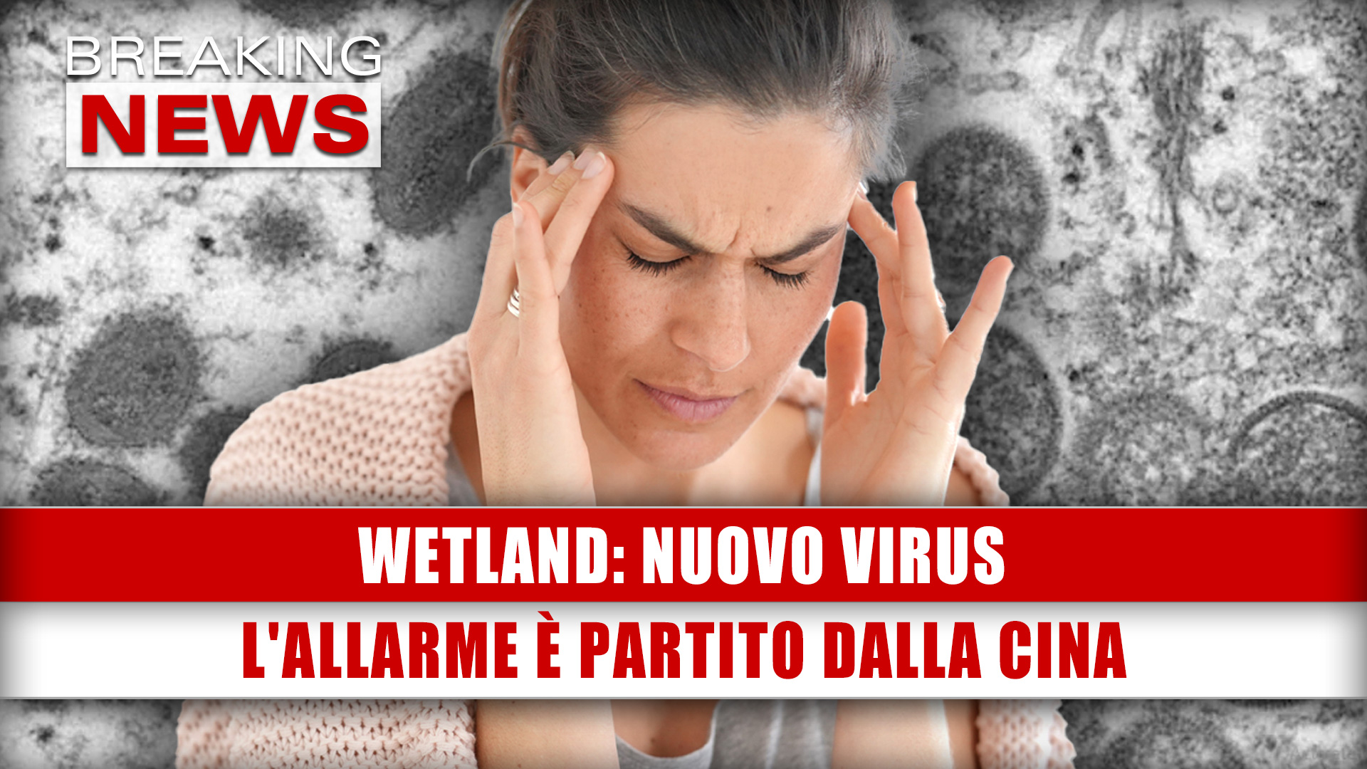 Wetland, Nuovo Virus: L'Allarme È Partito Dalla Cina!