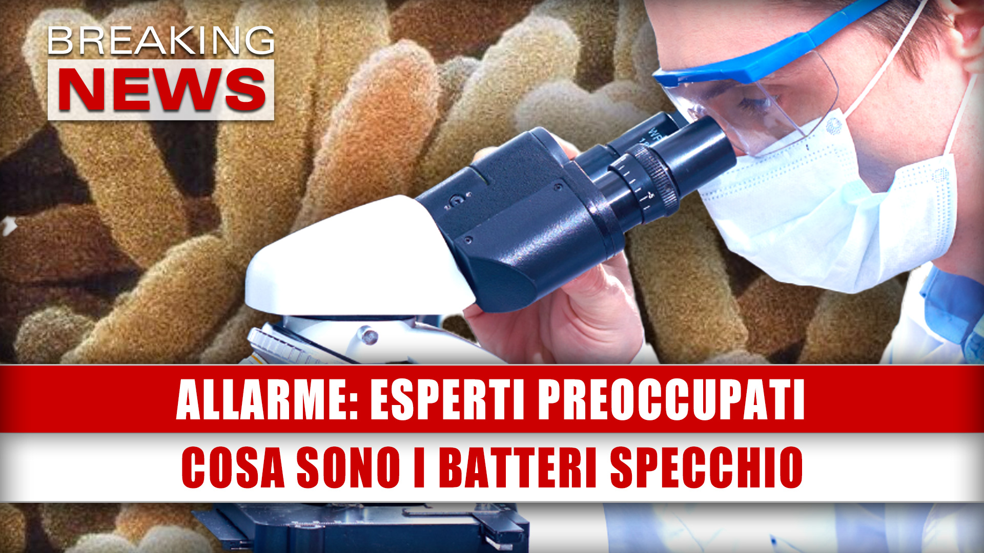 Allarme, Esperti Preoccupati: Cosa Sono I Batteri Specchio!